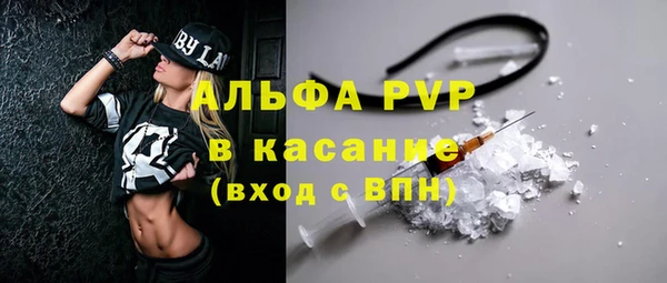 гашик Мегион