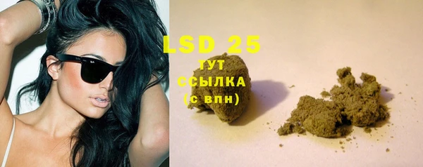 гашик Мегион