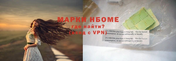 гашик Мегион