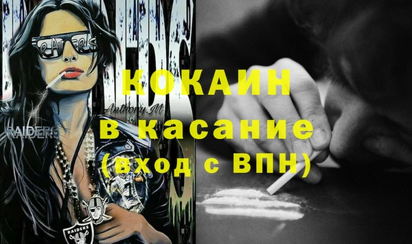 гашик Мегион