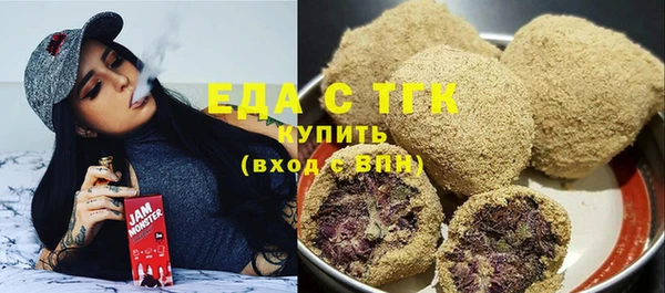гашик Мегион