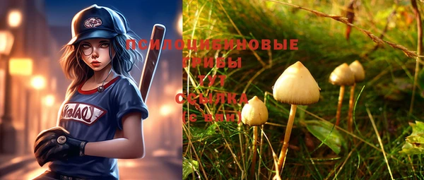 гашик Мегион