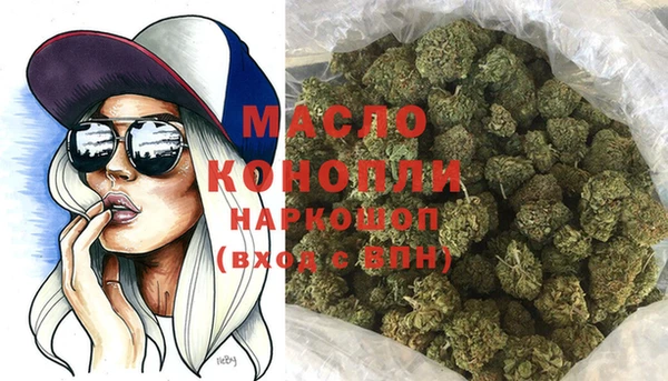 гашик Мегион