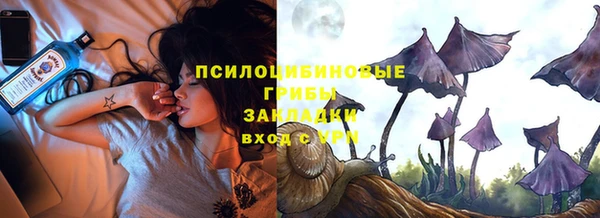 гашик Мегион