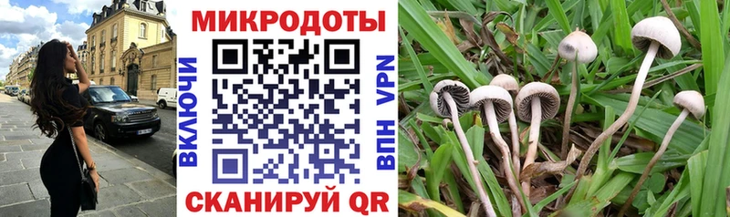 Псилоцибиновые грибы Magic Shrooms  гидра зеркало  Батайск 