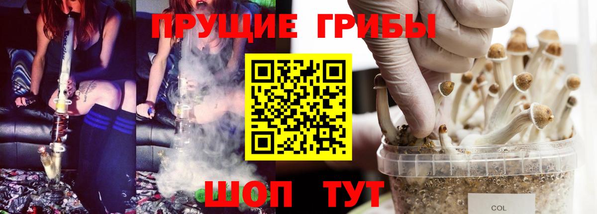 Галлюциногенные грибы Psilocybe  Батайск 